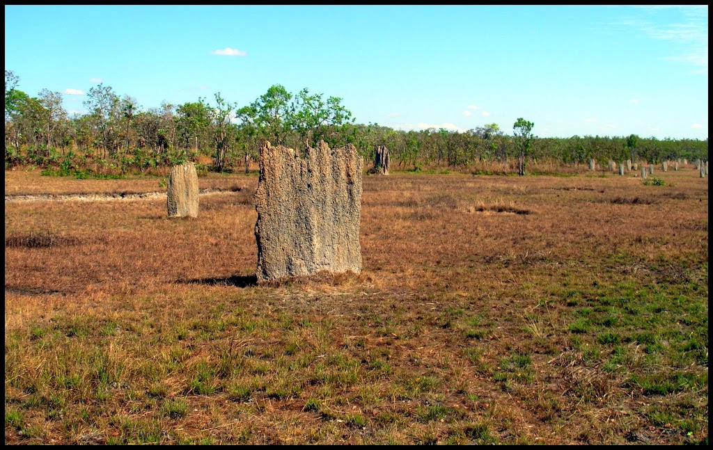 Florence Falls Campground | campground | Litchfield Park NT 0822, Australia