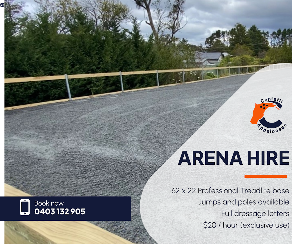 Confetti Equestrian and Appaloosas | 10 Boundary Rd, Buxton NSW 2571, Australia | Phone: 0403 132 905