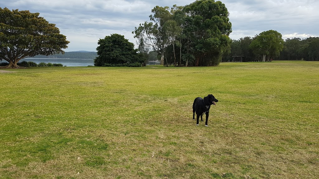 Croudace Bay Dog Park | park | Macquarie Dr, Eleebana NSW 2282, Australia