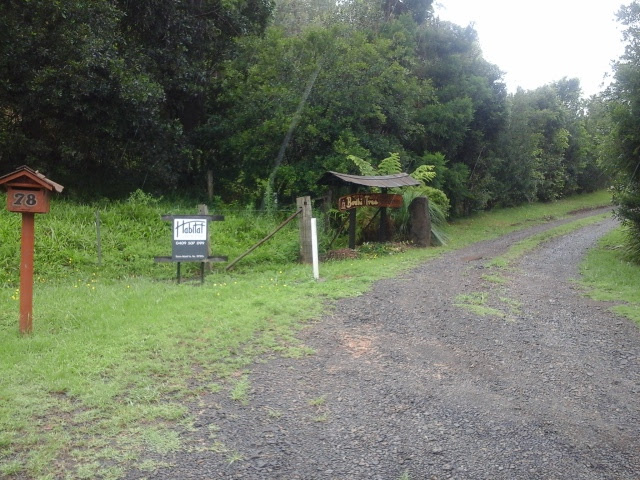 Bodhi Tree Forest Monastery & Vipassana Retreat Centre | 78 Bentley Rd, Tullera NSW 2480, Australia | Phone: (02) 6628 2426