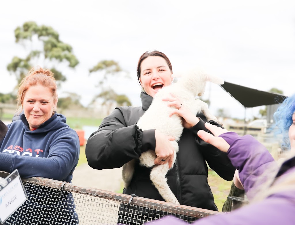 Able Life Hub | 85 Adeneys Rd, Devon Meadows VIC 3977, Australia | Phone: 0457 411 544