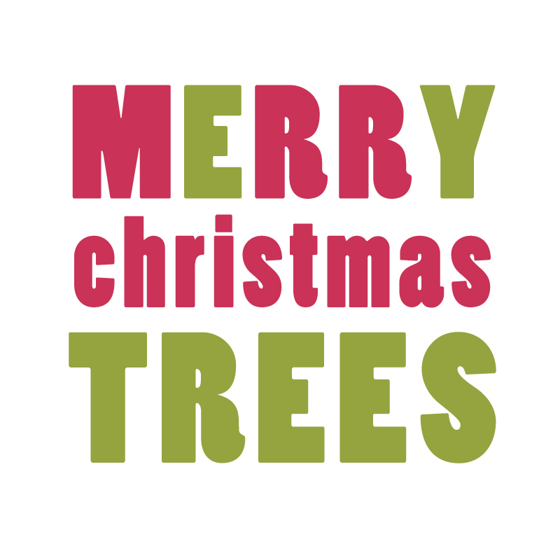 MERRY CHRISTMAS TREES | 329 Mons Rd, Forest Glen QLD 4556, Australia | Phone: (07) 5641 2541