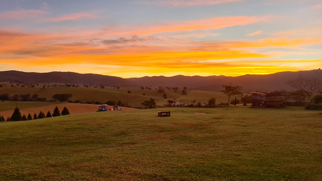 Atherton Christmas Tree Farm | 9658 Kennedy Hwy, Upper Barron QLD 4883, Australia | Phone: 0407 160 792