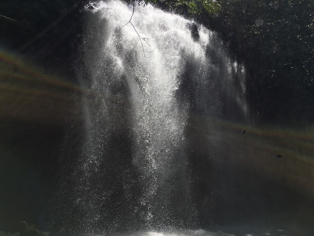 Tchupala Falls | Palmerston Hwy, Wooroonooran QLD 4860, Australia | Phone: 13 74 68