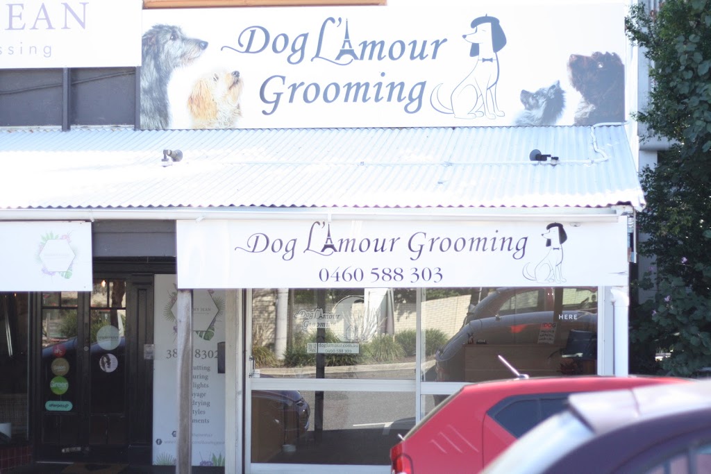 Dog L’amour Grooming | 43 Flinders St, Redbank Plains QLD 4301, Australia | Phone: 0460 588 303