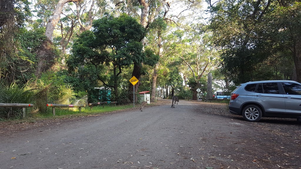 Honeymoon Bay | campground | Lighthouse Rd & Currarong Roads, Currarong NSW 2540, Australia | 0244483411 OR +61 2 4448 3411