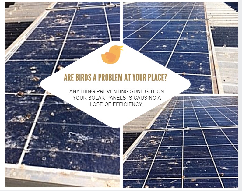 EcoKleenSolar | 15 Glen Eagles Dr, Middle Ridge QLD 4350, Australia | Phone: 0438 746 773