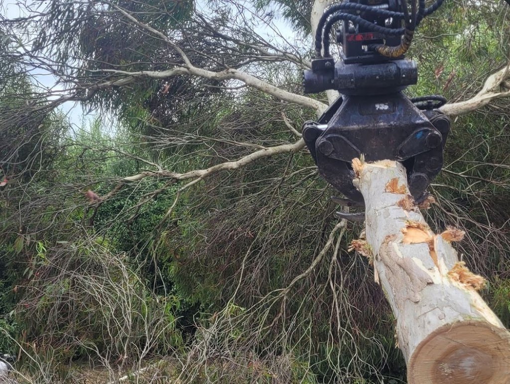 Next Step Tree Removals | 413 Monbulk Rd, Monbulk VIC 3793, Australia | Phone: 0455 331 045