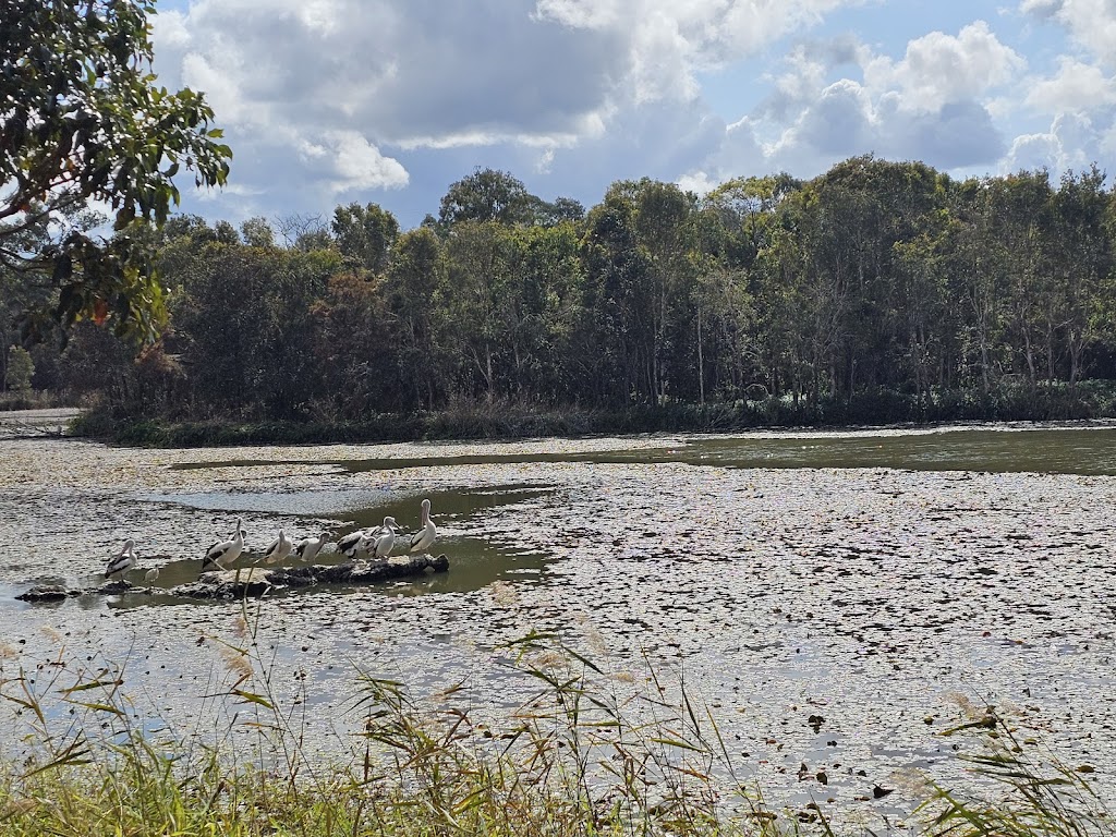 SW1 – Berrinba Wetlands | Wayne Goss Dr, Browns Plains QLD 4118, Australia | Phone: (07) 2899 7353