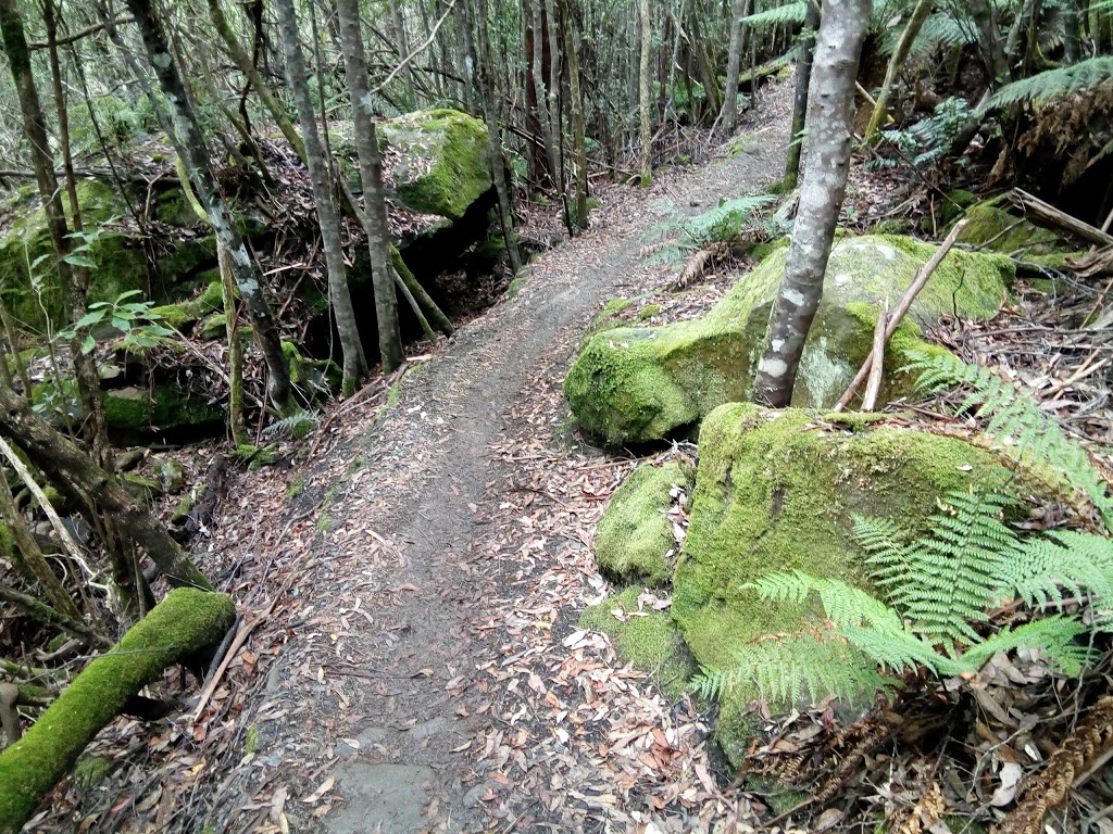 Rocky Whelans Cave | park | Woods Track, Wellington Park TAS 7054, Australia
