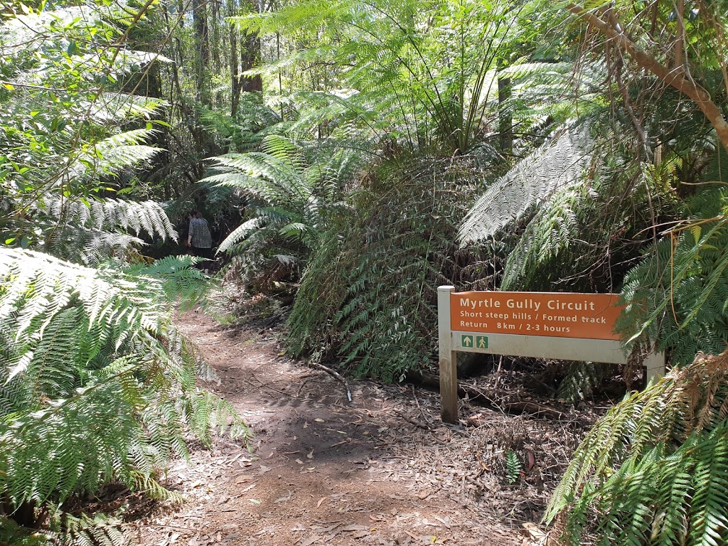 Wirrawilla Rainforest Walk | tourist attraction | Toolangi VIC 3777, Australia | 136186 OR +61 136186