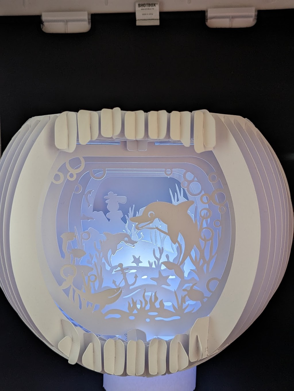 Flynn the Paper Shaper | 24 Barringum Cl, Medowie NSW 2318, Australia | Phone: 0422 045 036