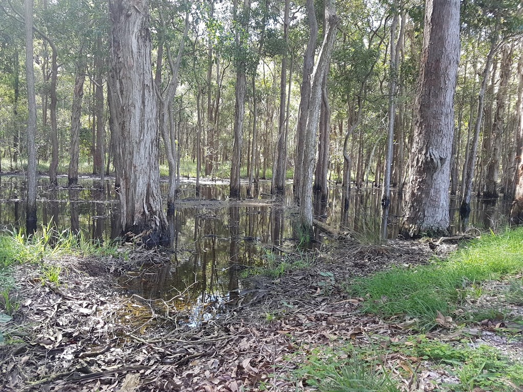 Bayview Conservation Park | park | Days Rd, Redland Bay QLD 4165, Australia | 0738298999 OR +61 7 3829 8999