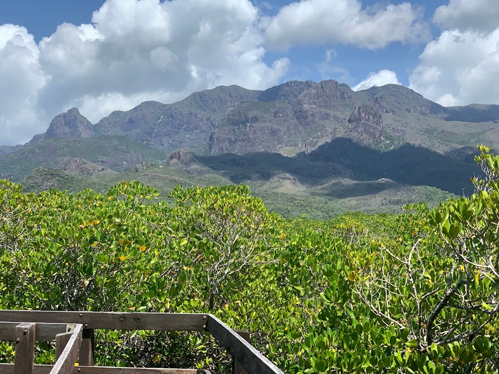 Hinchinbrook Island Ferry | 3 Commercial Drive, Cardwell QLD 4849, Australia | Phone: 0414 869 918