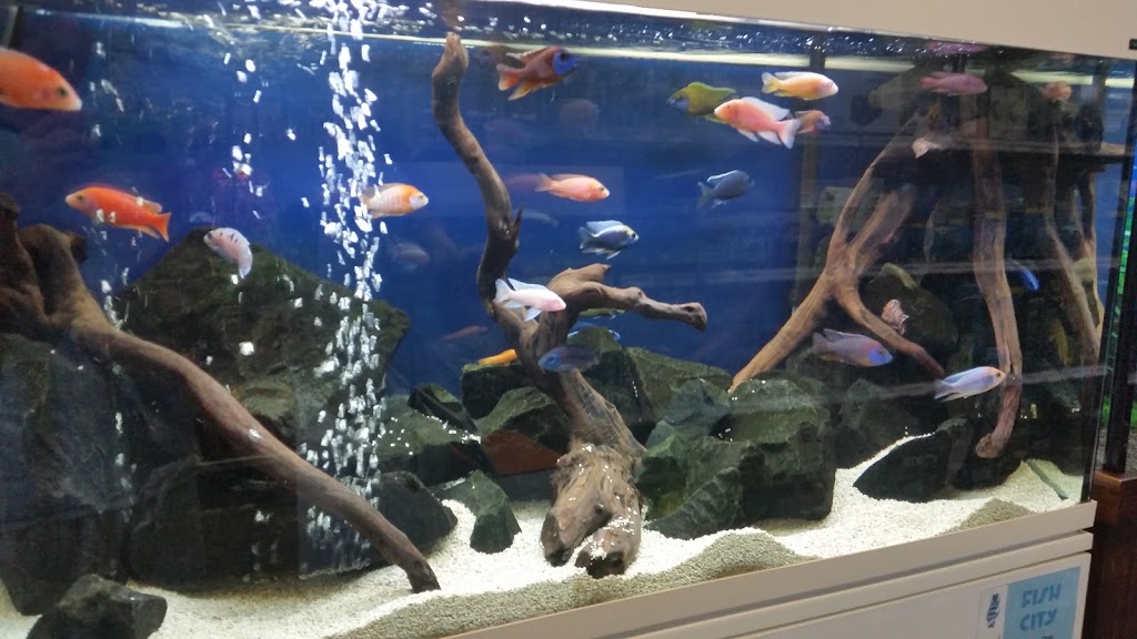 Fish City Aquarium - Fish Tank Filter | Aquarium Store Sydney | 10/109-127 Batt St, Jamisontown NSW 2750, Australia | Phone: (02) 4722 0000