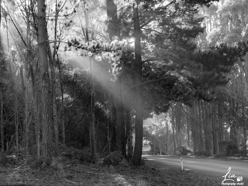 The Pines Campsite | Cloudy Bay Rd, South Bruny TAS 7150, Australia