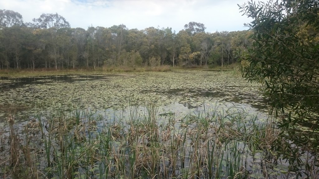 North Lakes Environmental Park | park | North Lakes QLD 4509, Australia | 0732050555 OR +61 7 3205 0555