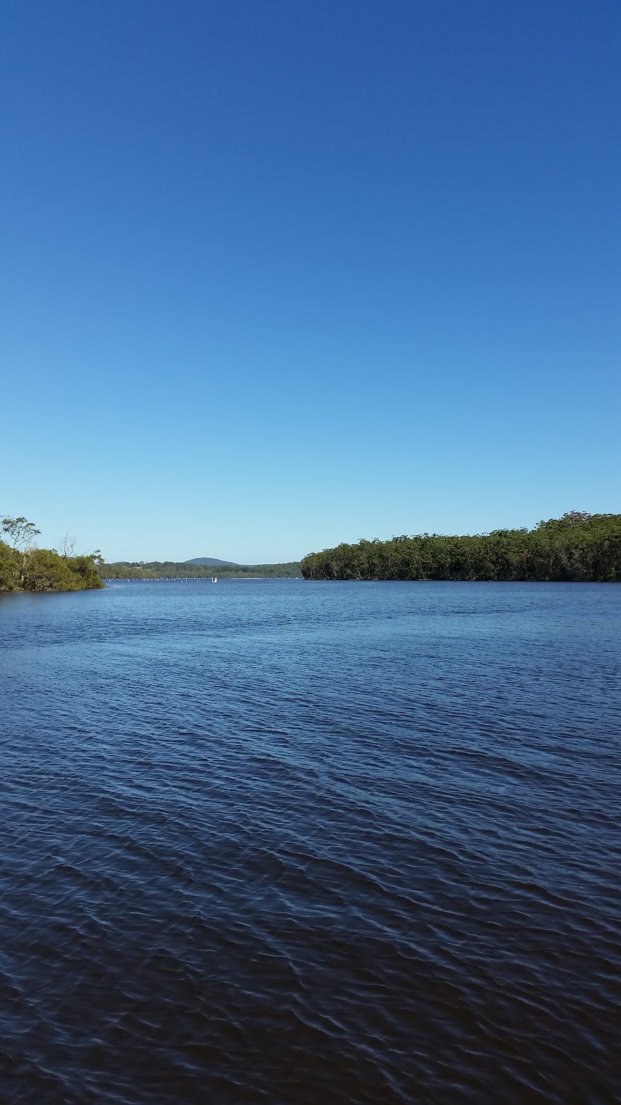 Bandicoot Island Nature Reserve | park | Wallis Lake NSW 2428, Australia