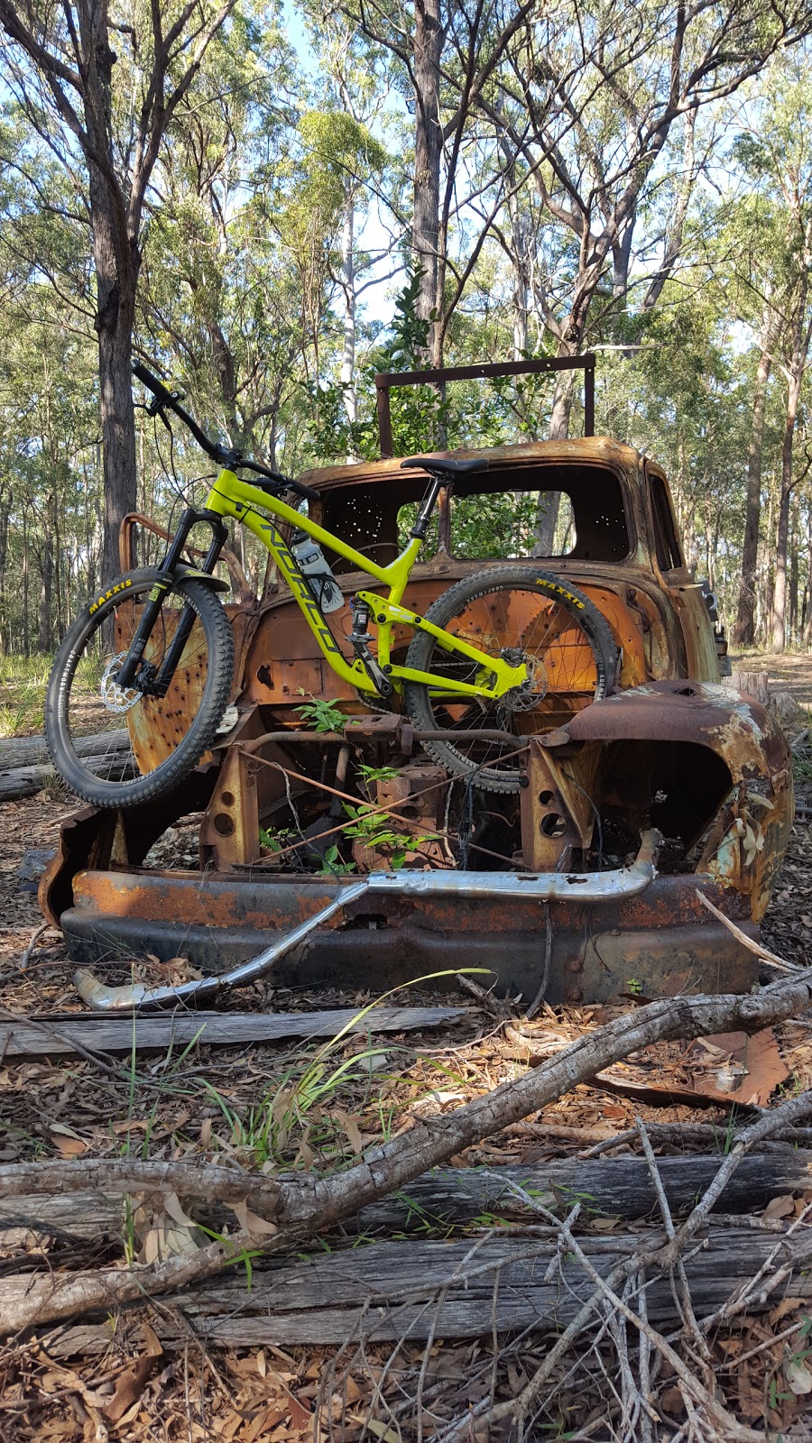 Cornubia Forest | park | Cornubia QLD 4130, Australia | 0734123412 OR +61 7 3412 3412