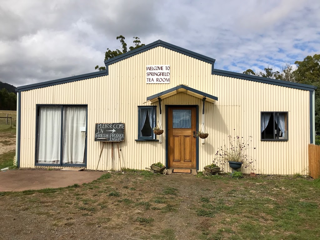 Springfield Tea Room | cafe | 1139 Ten Mile Track, Springfield TAS 7260, Australia