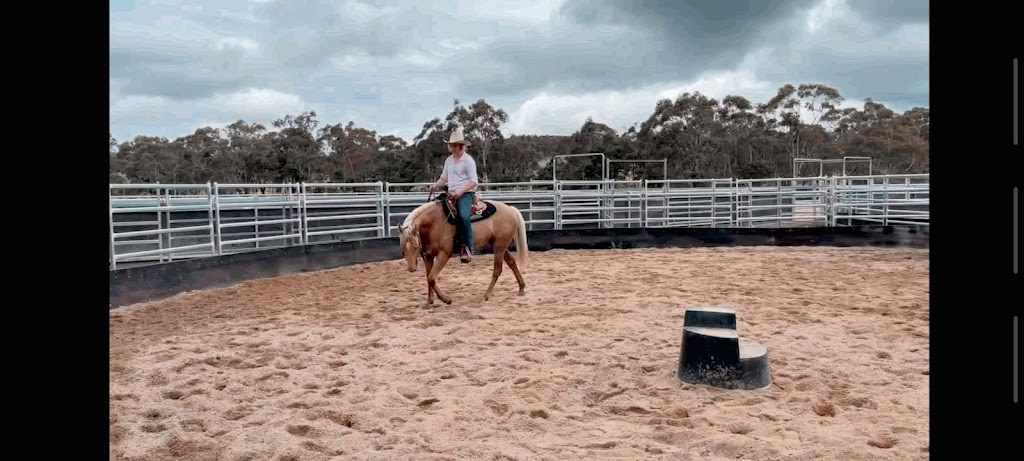 Artina Performance horses at Curlewin |  | Curlewin, 16987 Hume Hwy, Boxers Creek NSW 2580, Australia | 0488587074 OR +61 488 587 074