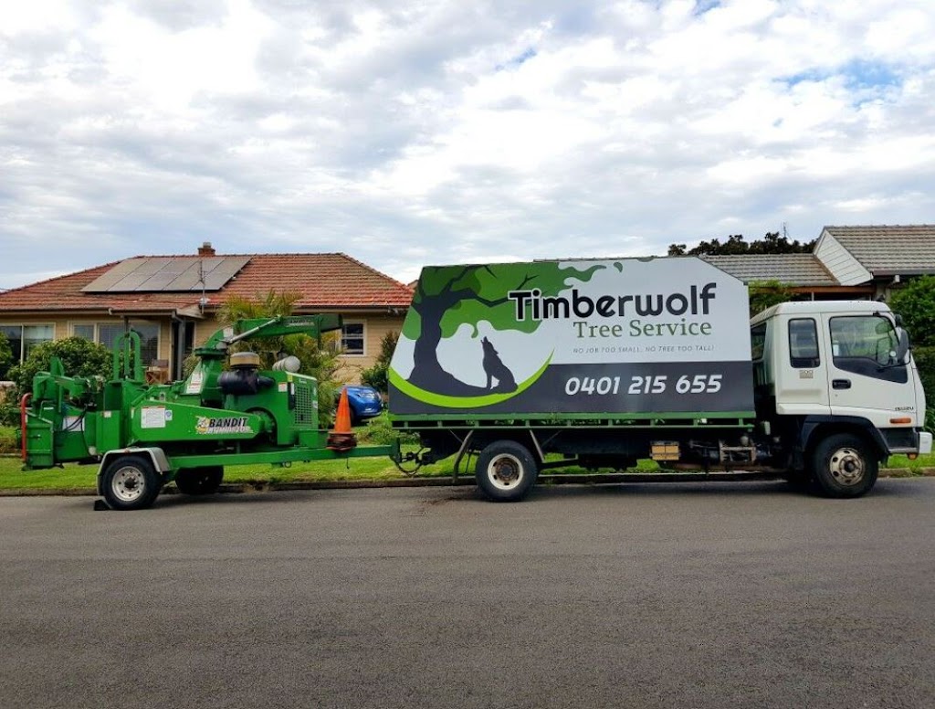 Timberwolf Tree Service | 18 Candish Cres, Whitebridge NSW 2290, Australia | Phone: 0401 215 655