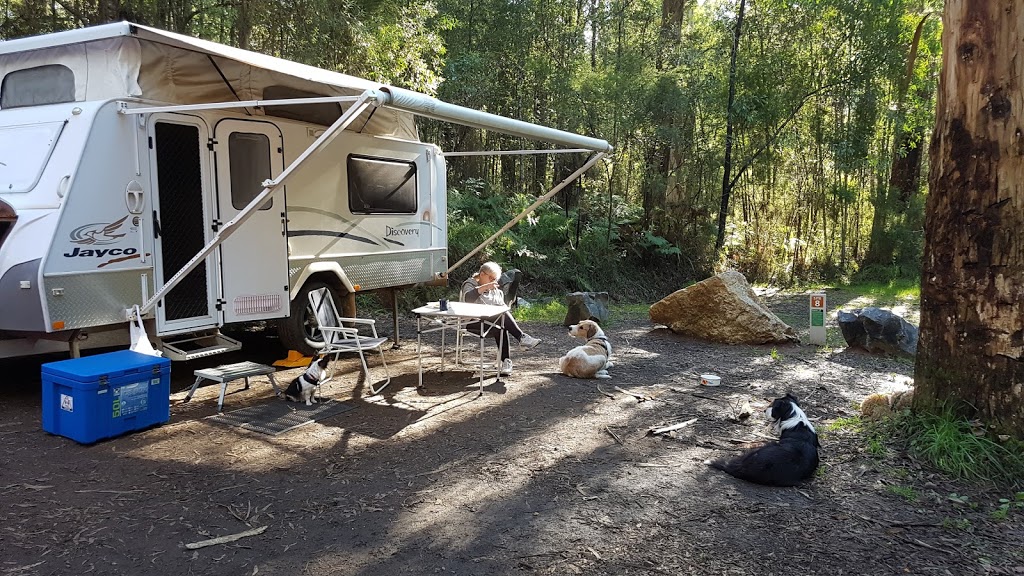 Latrobe River camping area | lodging | Gentle Annie VIC 3833, Australia