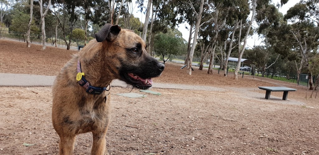Minkarra Dog Park | Happy Valley SA 5159, Australia