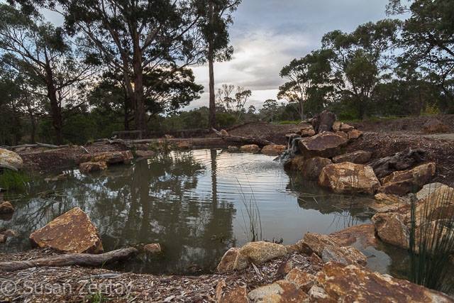 Frankston Nature Conservation Reserve | park | Jeremy Way, Frankston South VIC 3199, Australia | 131963 OR +61 131963