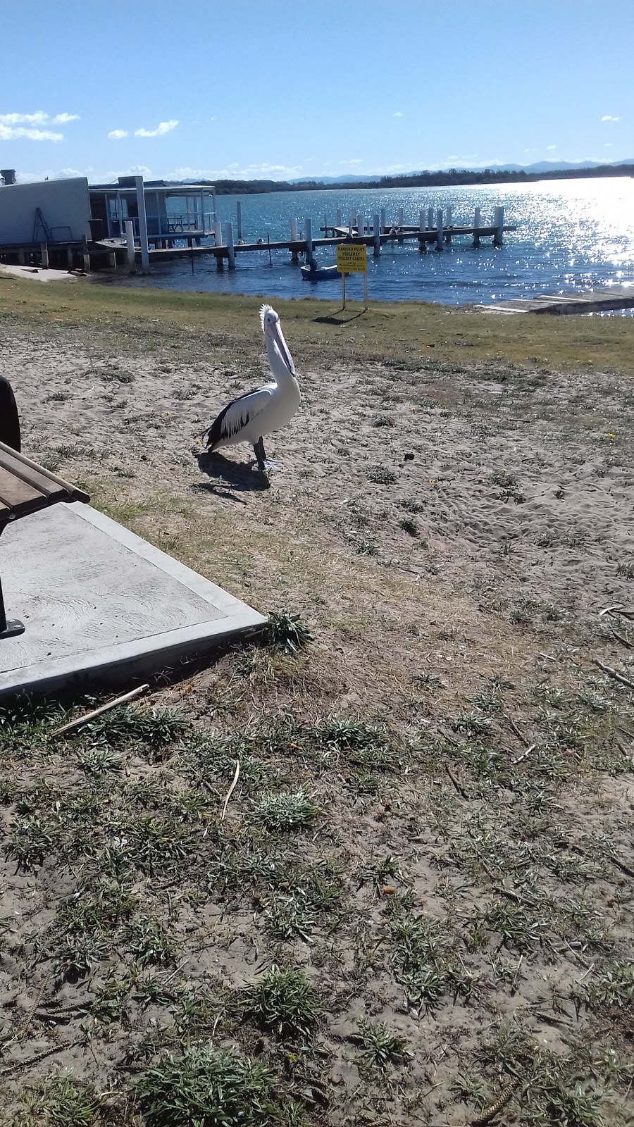 Manning Point Boat Ramp | 99 Main Rd, Manning Point NSW 2430, Australia | Phone: (02) 6592 5399