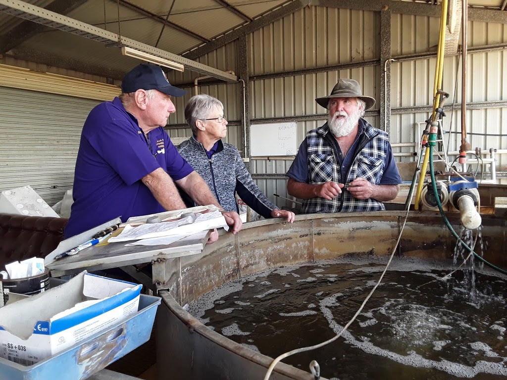 MURILLA FISH STOCKING ASSOC | 782 Glenaubyn Rd, Drillham QLD 4424, Australia | Phone: 0427 276 243