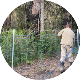 Frontier Rural Fencing | 14 Brownrigg St, Morven NSW 2660, Australia | Phone: 0408 986 474