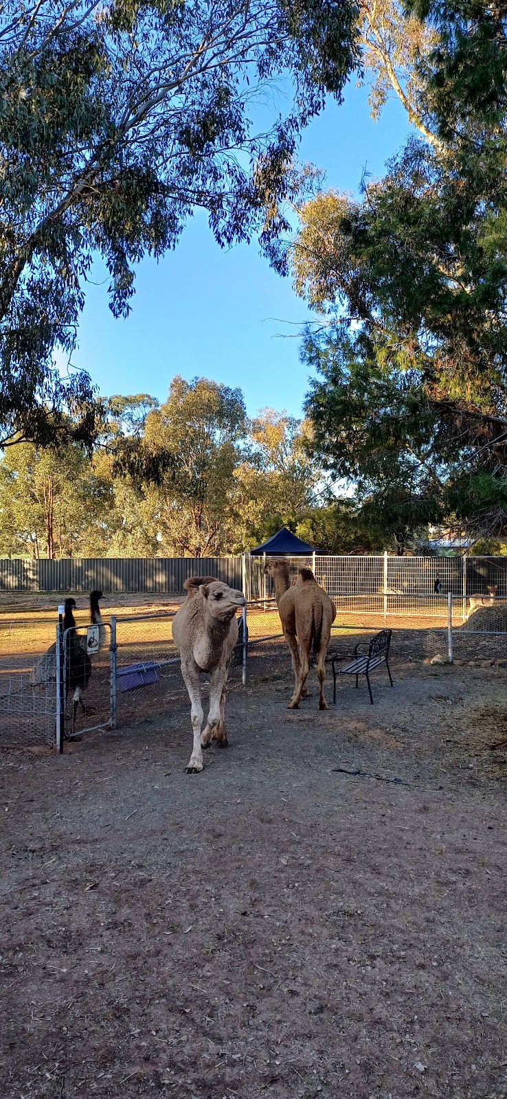 Hooves of Empowerment | Tootool NSW 2655, Australia | Phone: 0423 980 616