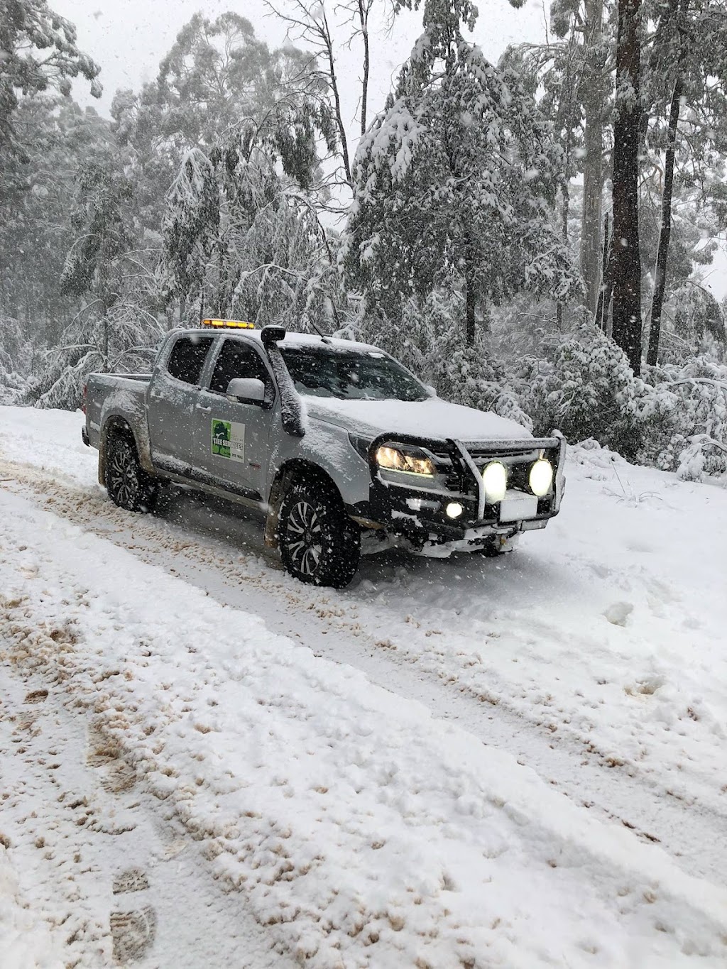 High Country Tree Services |  | 2205 Beechworth-Wodonga Rd, Leneva VIC 3691, Australia | 0438751932 OR +61 438 751 932