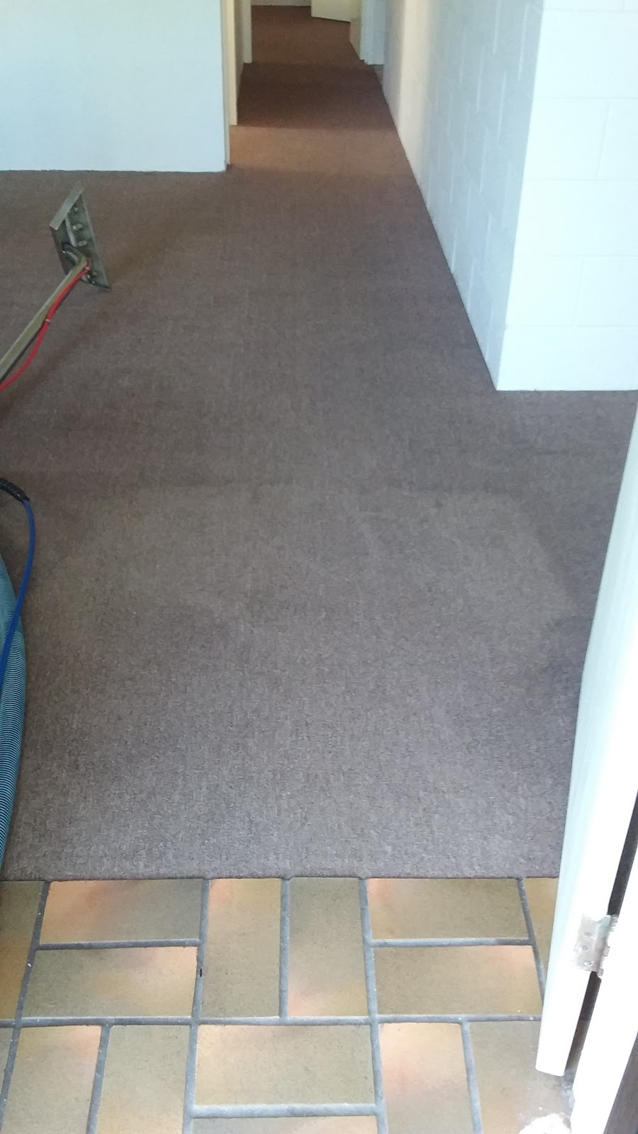 Killer Carpet Cleaning and Pest Control | laundry | 2/18 Watson St, Currimundi QLD 4551, Australia | 0422385335 OR +61 422 385 335