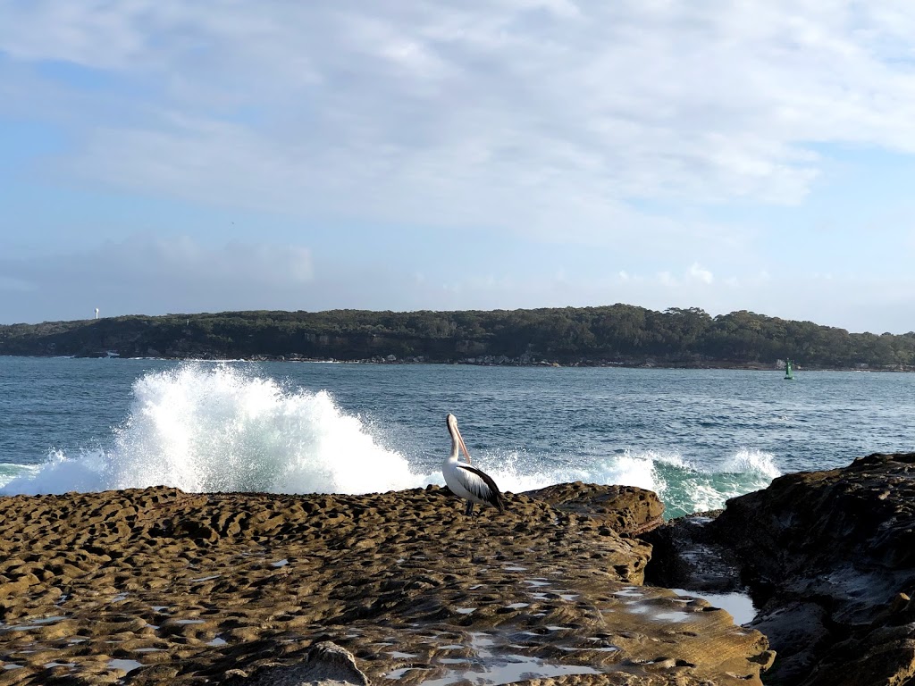 Bare Island Fort | Bare Island Rd, La Perouse NSW 2036, Australia | Phone: 1300 072 757