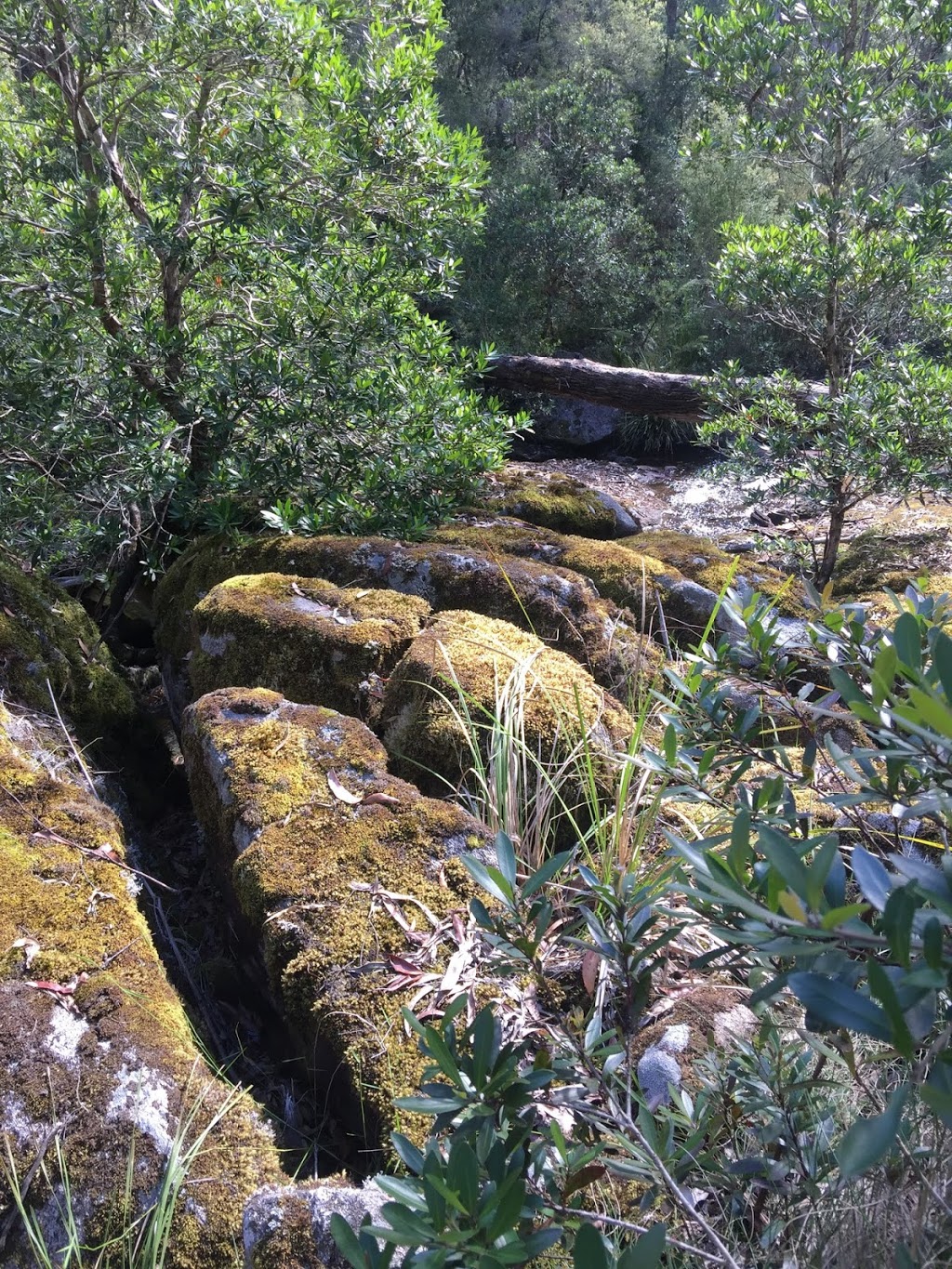 Falls Creek Trail Memorial | park | Falls Creek Memorial Trail, Cabbage Tree Creek VIC 3889, Australia