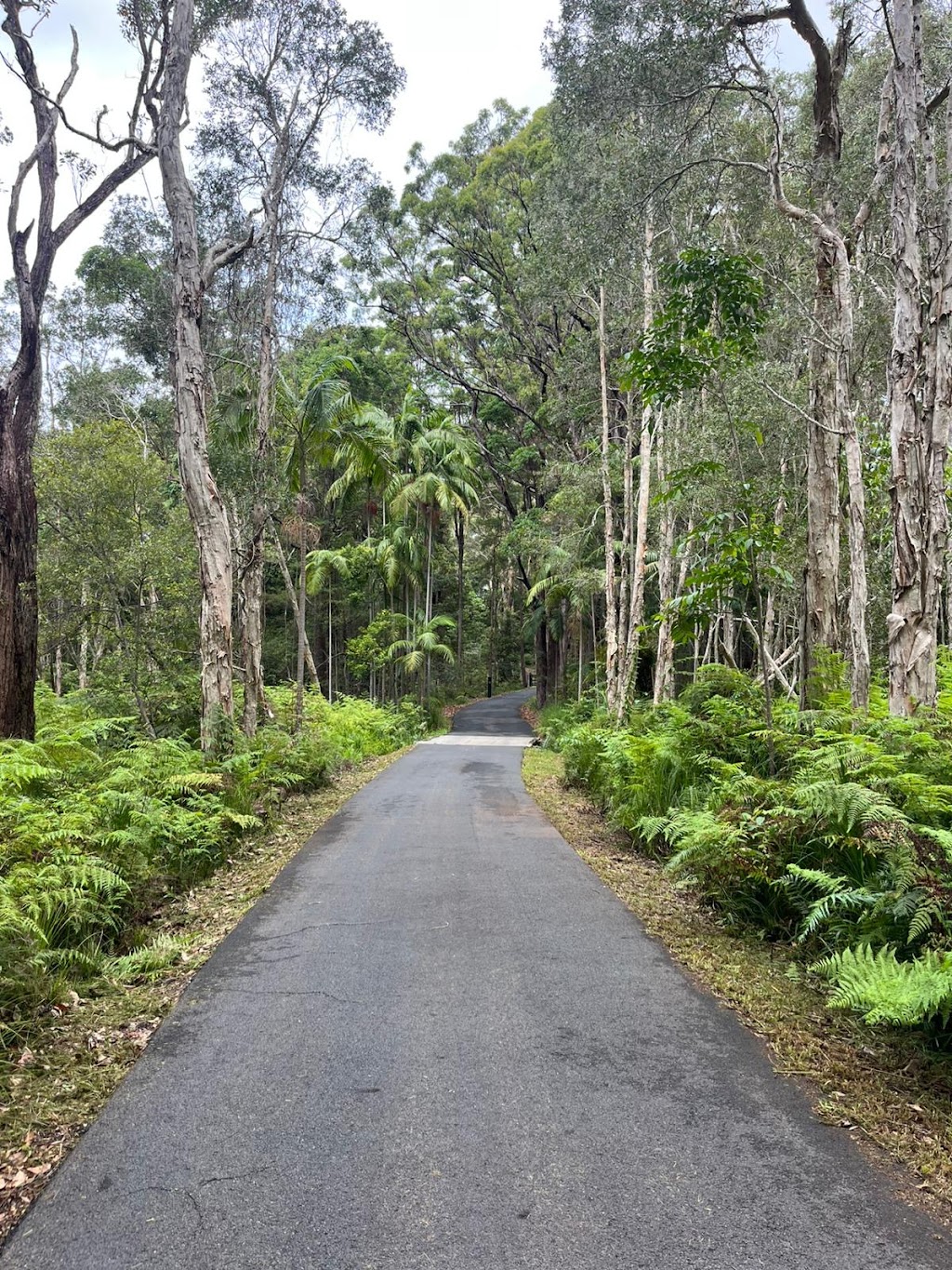 Byron PRO Gardens | 5 Tyagarah Rd, Tyagarah NSW 2481, Australia | Phone: 0452 617 291