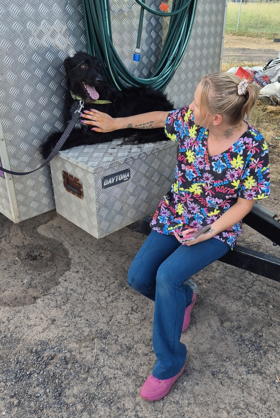 Barkin Bubbles Pet Services | 53 Back Ma Ma Rd, Winwill QLD 4347, Australia | Phone: 0447 639 953