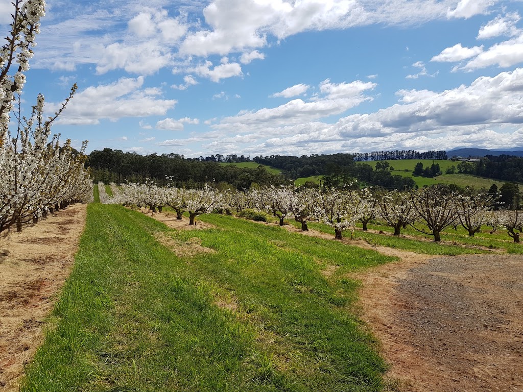 Cherryhill Orchards | cafe | 480 Queens Rd, Wandin East VIC 3139, Australia | 1300243779 OR +61 1300 243 779