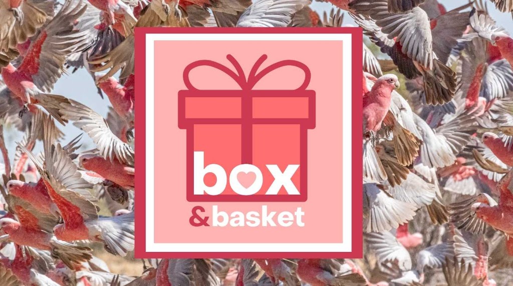 Box & Basket | 2 Lyrebird Cres, Upper Kedron QLD 4055, Australia | Phone: 0466 580 574