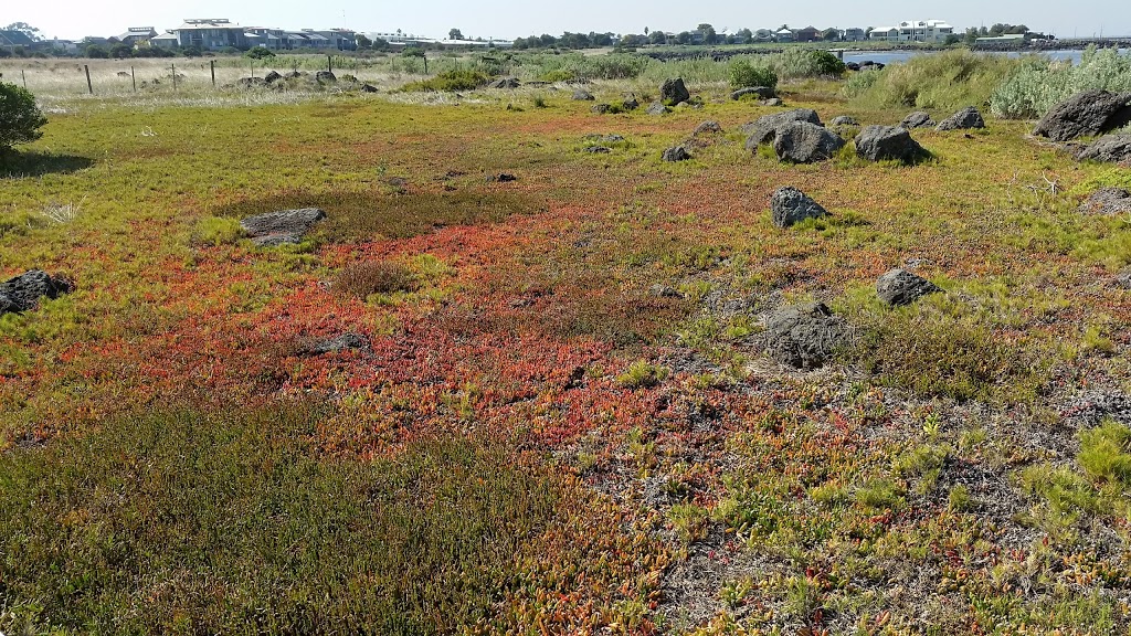 Jawbone Flora and Fauna Reserve | 29 Sandpiper Pl, Williamstown VIC 3016, Australia | Phone: 13 19 63