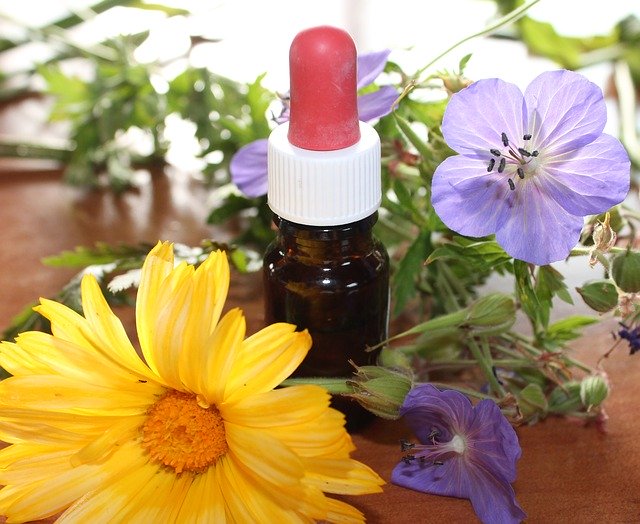 Online Homeopath | 3 Lymington Rd, Cygnet TAS 7112, Australia | Phone: 0433 535 945