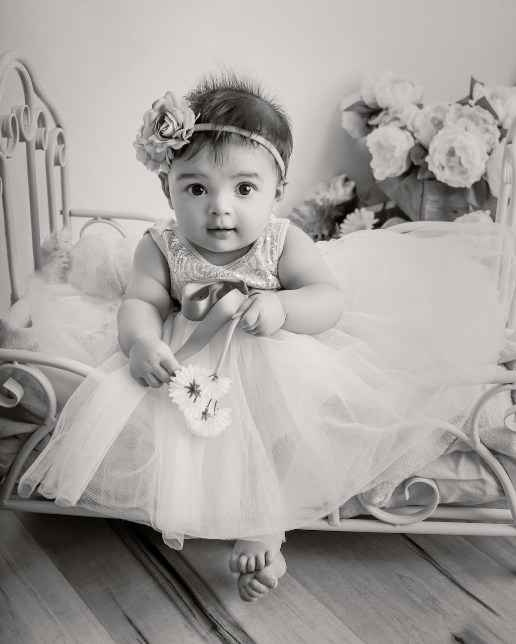 Hayleigh Beach Photography | 46a Panfield Ave, Ringwood VIC 3134, Australia | Phone: 0426 113 768