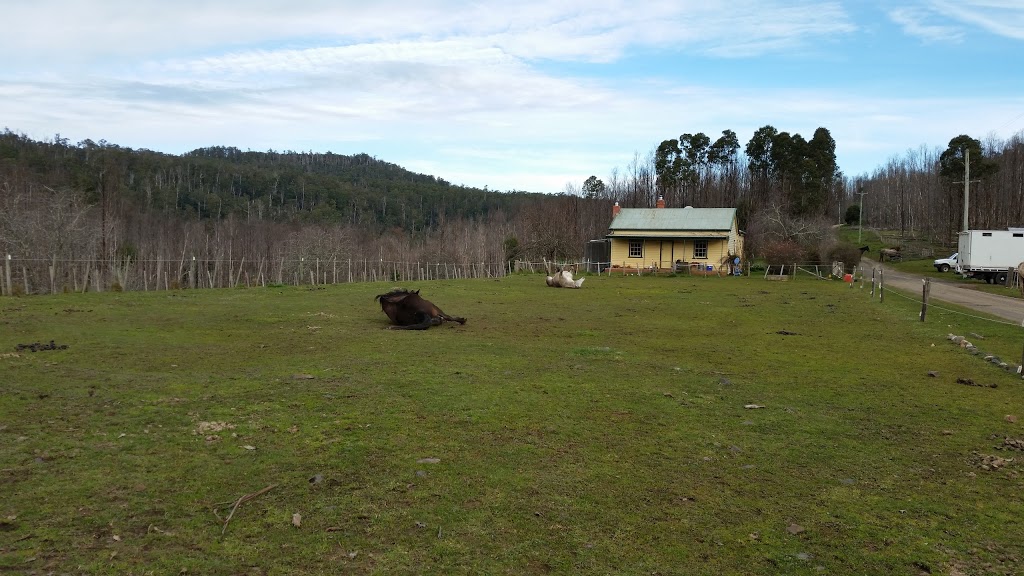 Cradle Country Adventures | 878 Bridle Track Rd, Kimberley TAS 7304, Australia | Phone: 1300 656 069