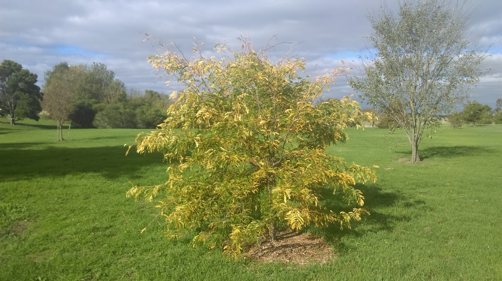 Tandarook Botanical Gardens | Cobden VIC 3266, Australia