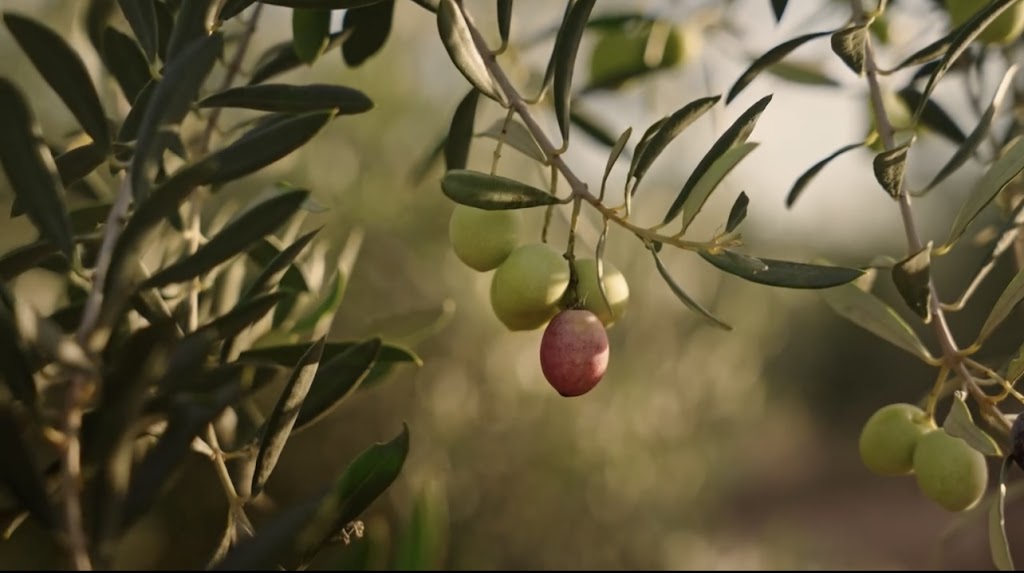 Valanolia | 241B Markwood-Everton Rd, Markwood VIC 3678, Australia | Phone: 0498 234 601