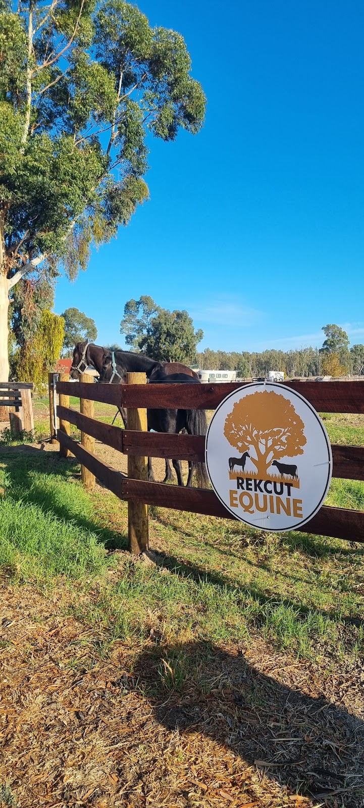 Rekcut Equine | 47 Penglase Ln, Barham NSW 2732, Australia | Phone: 0400 075 020