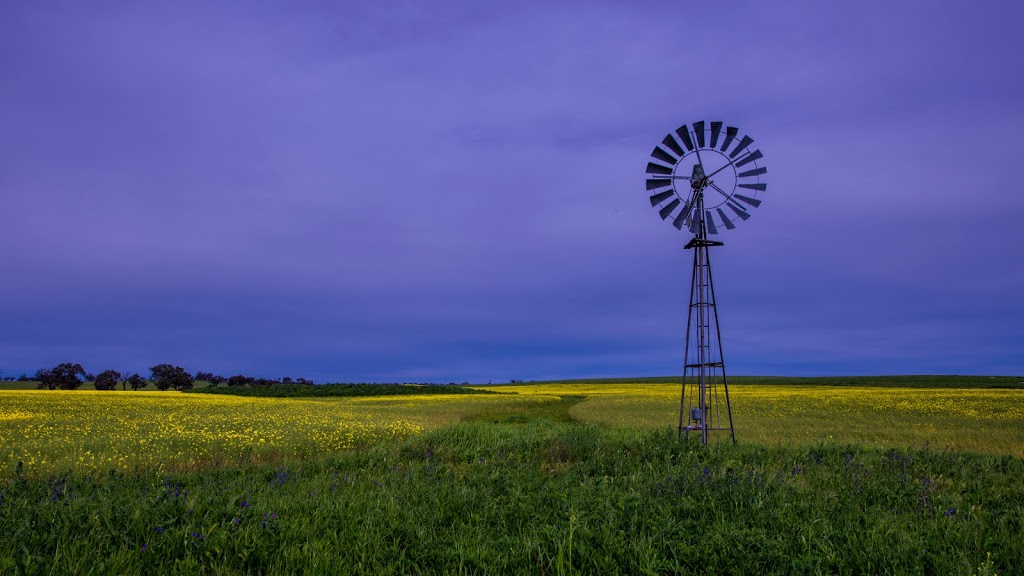 Harden Country Motel | lodging | 42/50 Albury St, Harden NSW 2587, Australia | 0263862377 OR +61 2 6386 2377