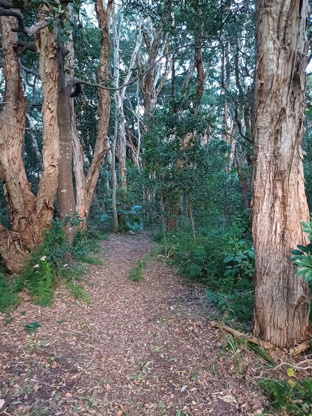 Backbeach Villa | 29 Carrington St, Woolgoolga NSW 2456, Australia | Phone: (02) 6654 1148